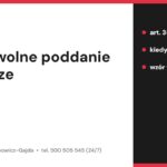 Dobrowolne poddanie się karze